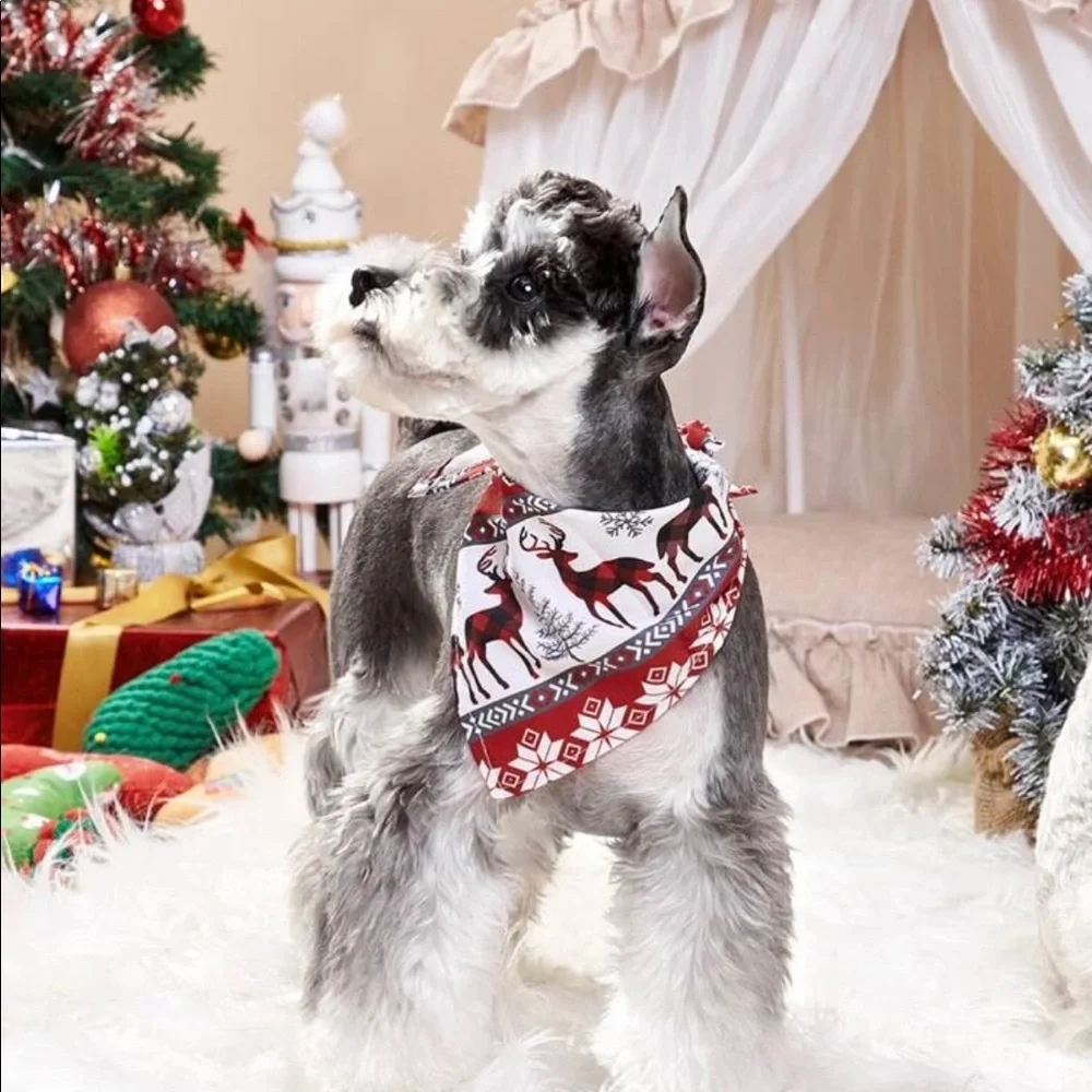 PET BANDANA
